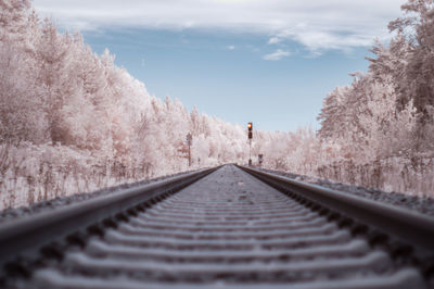 Surface level of railroad track amidst trees against sky
