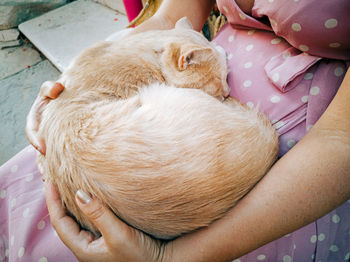 Woman in pink dress petting ginger cat in lap, outdoors, street, town.