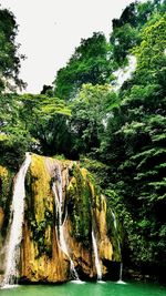 Scenic view of waterfall