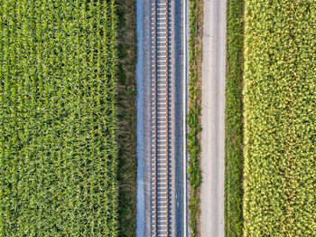 High angle view of agricultural field