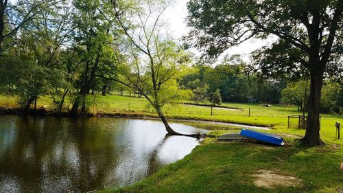 Scenic view of lake in park