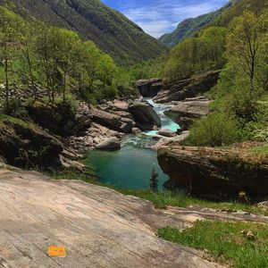 Scenic view of river flowing through rocks in forest