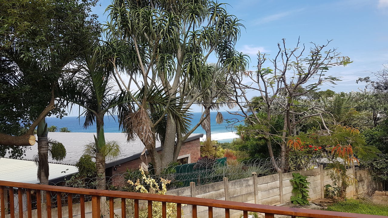 TREES AND PLANTS BY RAILING AGAINST SKY