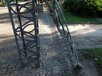 Empty footpath along trees