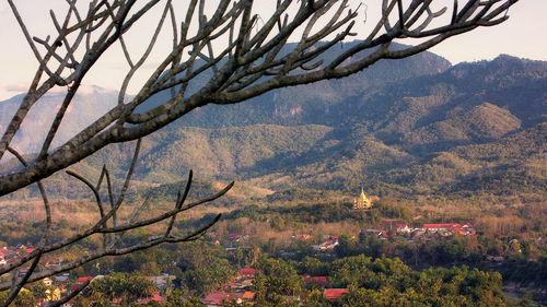 Scenic view of tree against sky during autumn