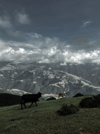 Scenic view of landscape against sky