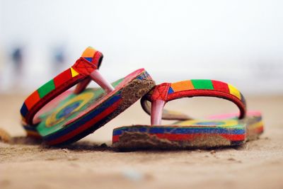 Close-up of shells on beach