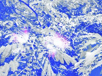 Low angle view of tree