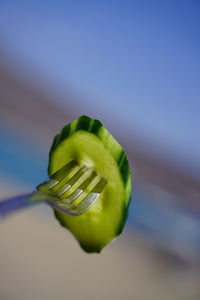 Close-up of fruit