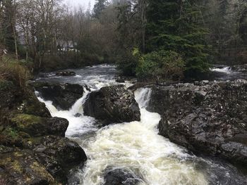 Scenic view of waterfall in forest