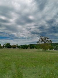 Scenic view of field against sky