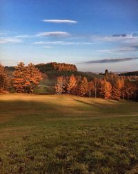 Scenic view of grassy field against sky