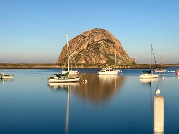 Sailboats moored in sea against clear blue sky