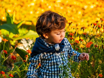 Boy looking at flowering plants on field