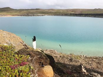 Rear view of man standing on rock by lake