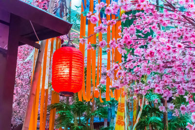 Low angle view of lanterns hanging on plant