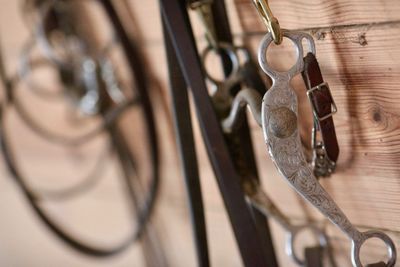 Close-up of bridles hanging on wooden wall