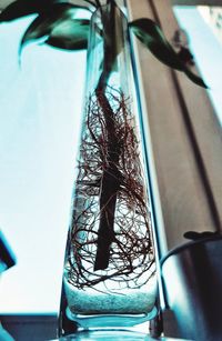 Close-up of window on table against trees