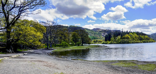 Scenic view of lake by trees against sky