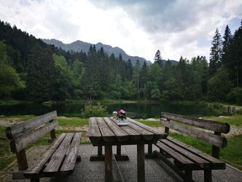 Bench in park