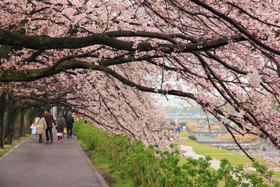 People walking on footpath