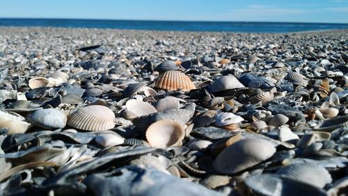 Surface level of beach