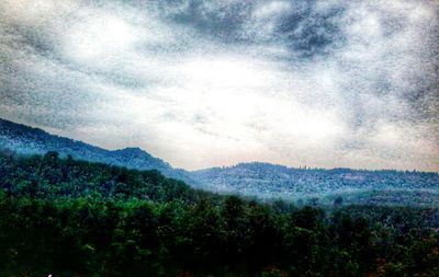 Scenic view of forest and mountains against sky