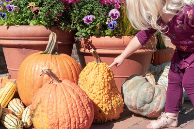 Cute girl standing by pumpkin at market stall