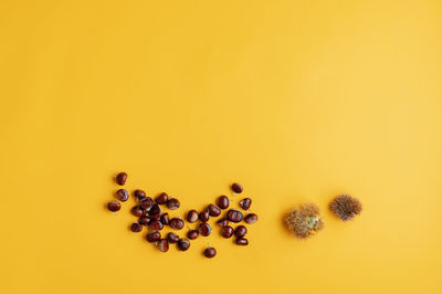 High angle view of candies on yellow table