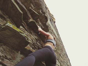 Low angle view of hand on tree