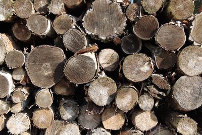 Full frame shot of logs