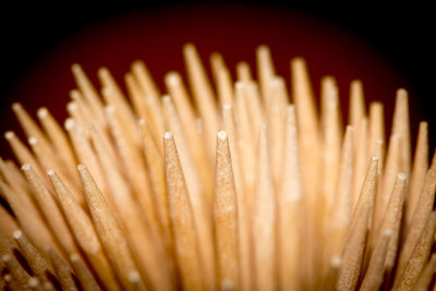 Close up of toothpick