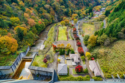 High angle view of trees in city