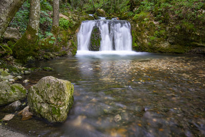 Scenic view of waterfall in forest