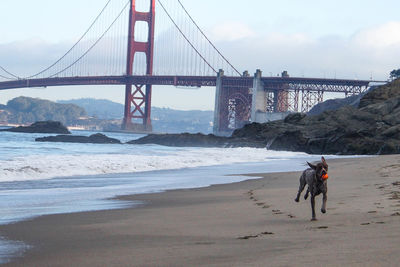 View of suspension bridge at beach