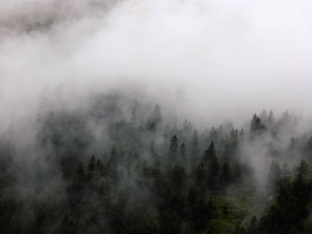 Trees on landscape against sky during foggy weather