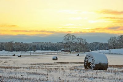 Snow covered field at sunset