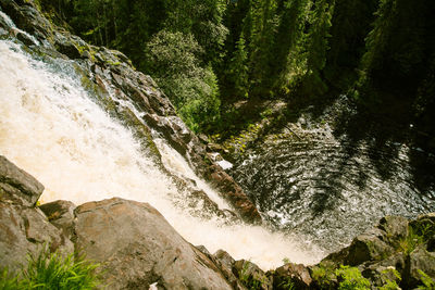 Scenic view of waterfall in forest