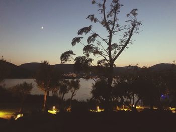 Silhouette trees by lake against sky during sunset