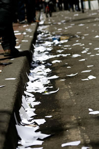 Low section of man with flower petals in water