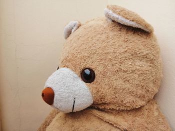 Close-up of stuffed toy