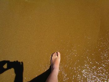 Low section of woman on beach