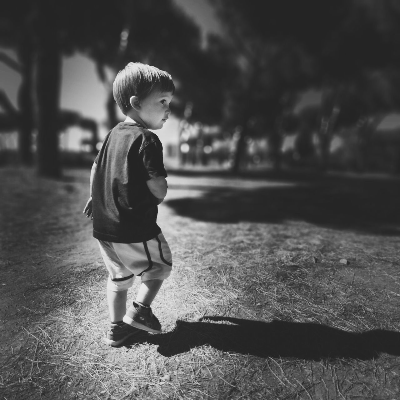 full length, childhood, casual clothing, lifestyles, boys, elementary age, leisure activity, girls, walking, innocence, rear view, focus on foreground, cute, sunlight, person, playing, standing, grass