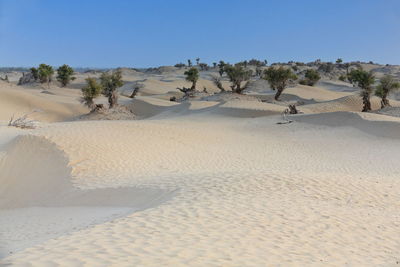 Scenic view of desert against clear sky