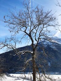 Bare tree against sky during winter