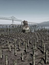 Wooden posts on beach against clear sky