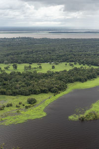 Beautiful aerial view to green flooded rainforest and river