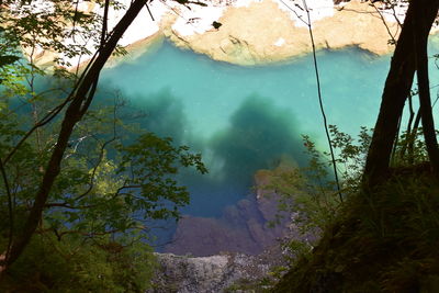 High angle view of trees by lake