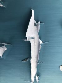 Close-up of birds flying over frozen lake during winter