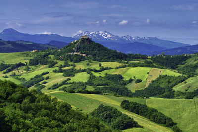 Scenic view of agricultural field against sky